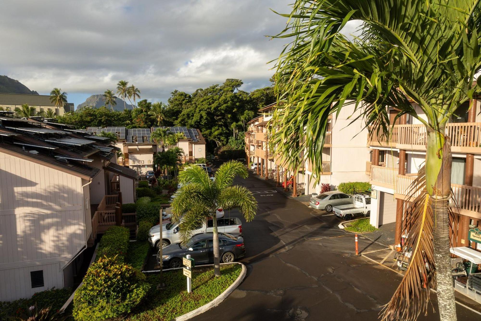 Banyan Harbor Resort Lihue Exterior foto